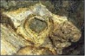Chýnovská jeskyně-Purkyňovo oko