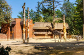 Žirafa - Zoo Liberec